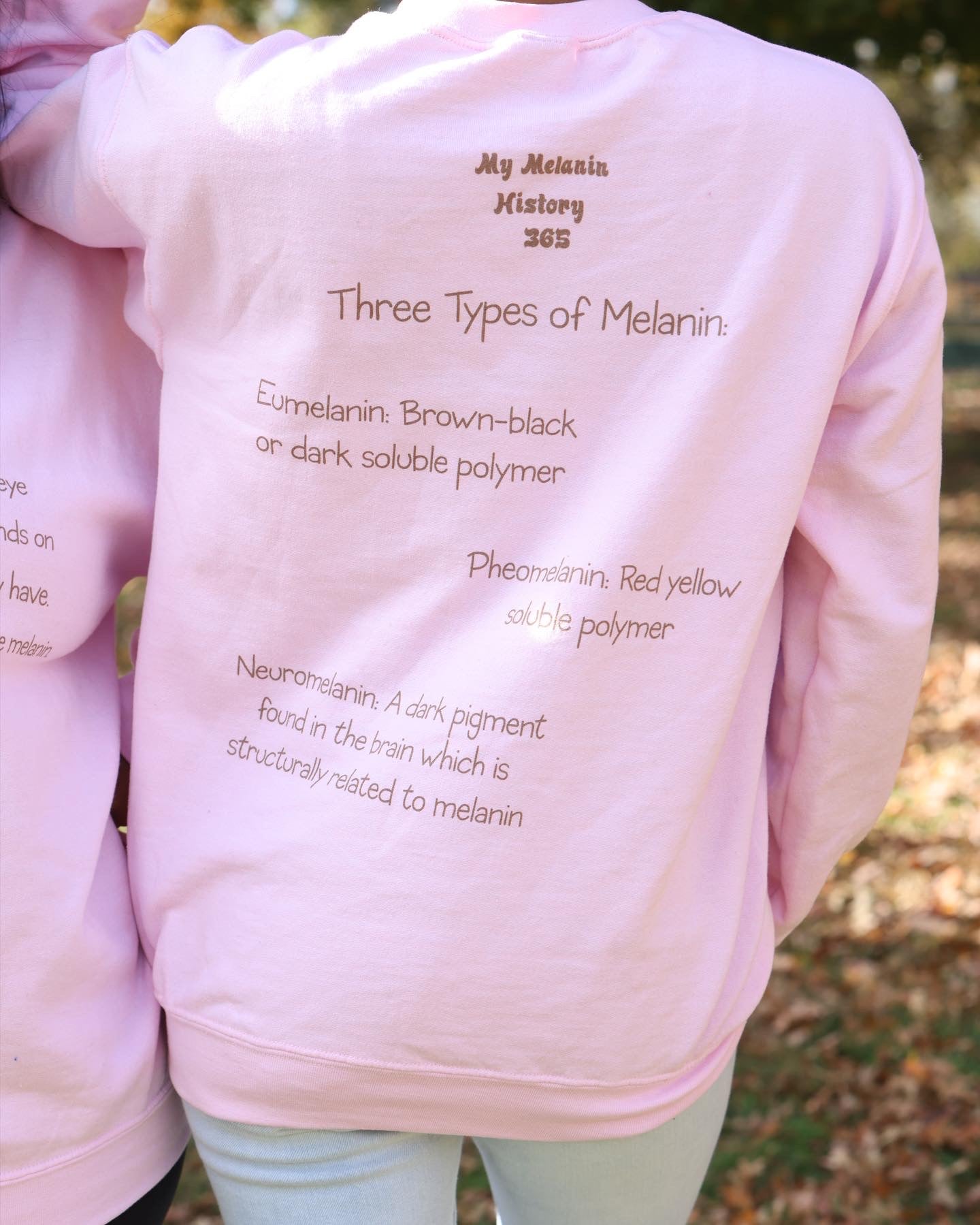 Melanin Definition (Pink Sweatshirt)
